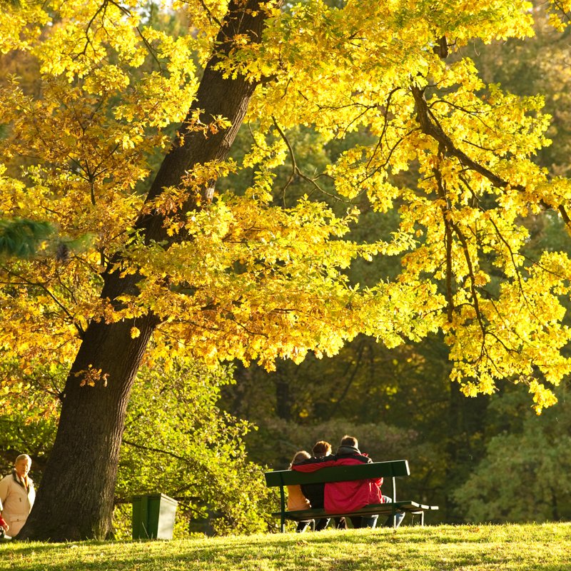 Golden autumn in Kassel